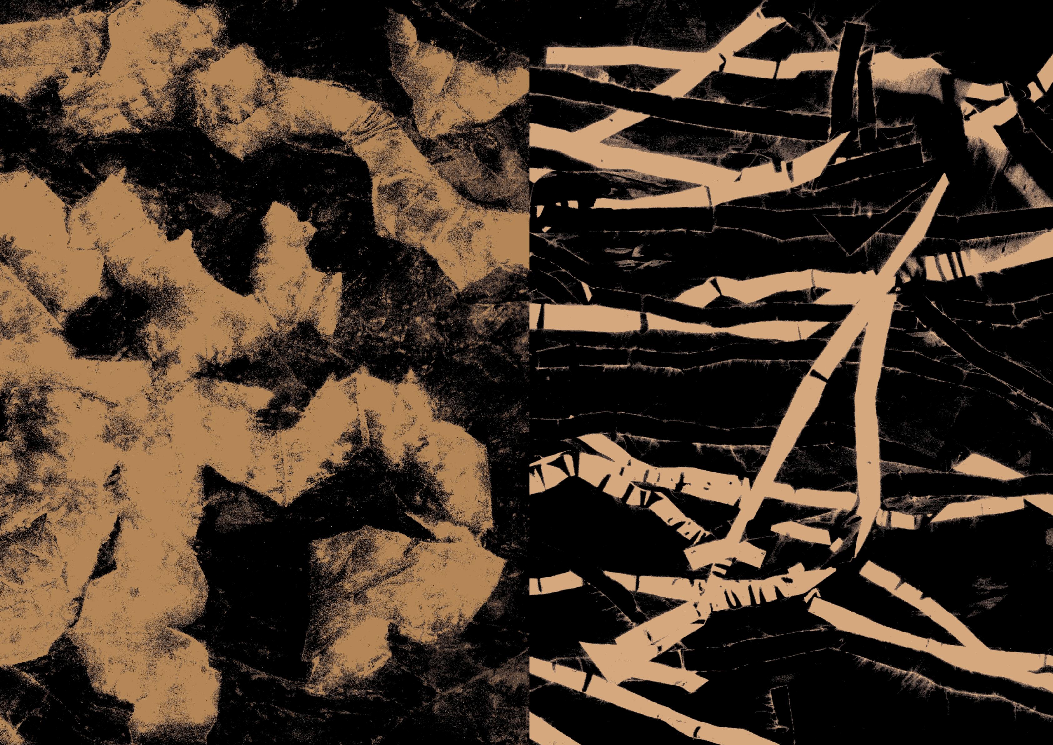 Anautomija - amber shapes on black ground. Digital image diptych.
