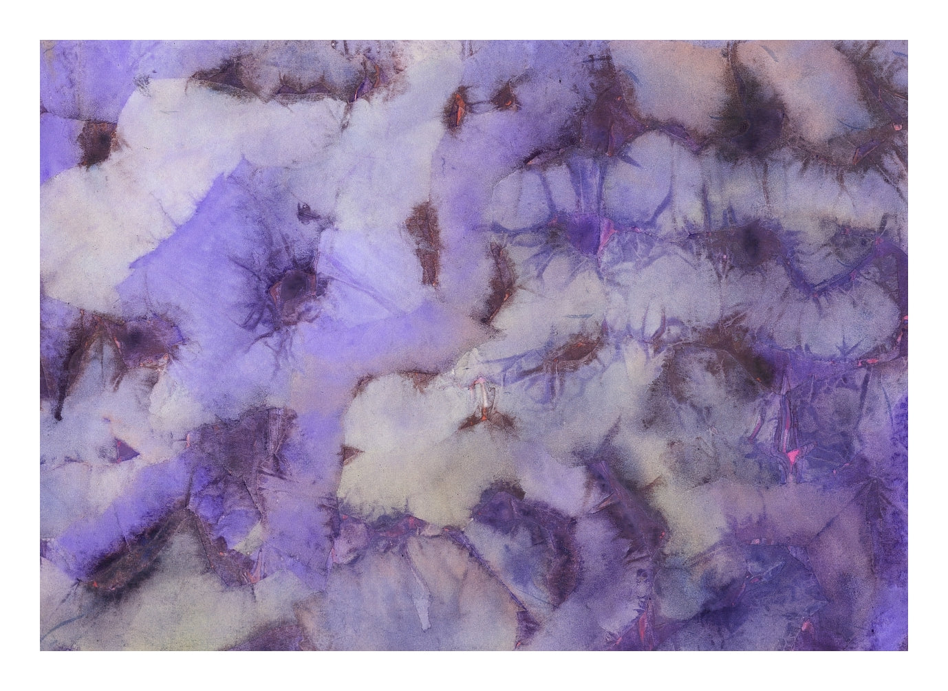 "Anautomija — No. 11141951 — lavender and violet ground with cream zones and dark brown branching marks, liquid medium on paper (Cyme), 21 × 29.7 cm"