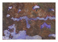 Anautomija — No. 12594875 — warm brown ground, with scattered lavender fragments, rich texture, liquid medium on paper (Cyme), 21 × 29.7 cm"